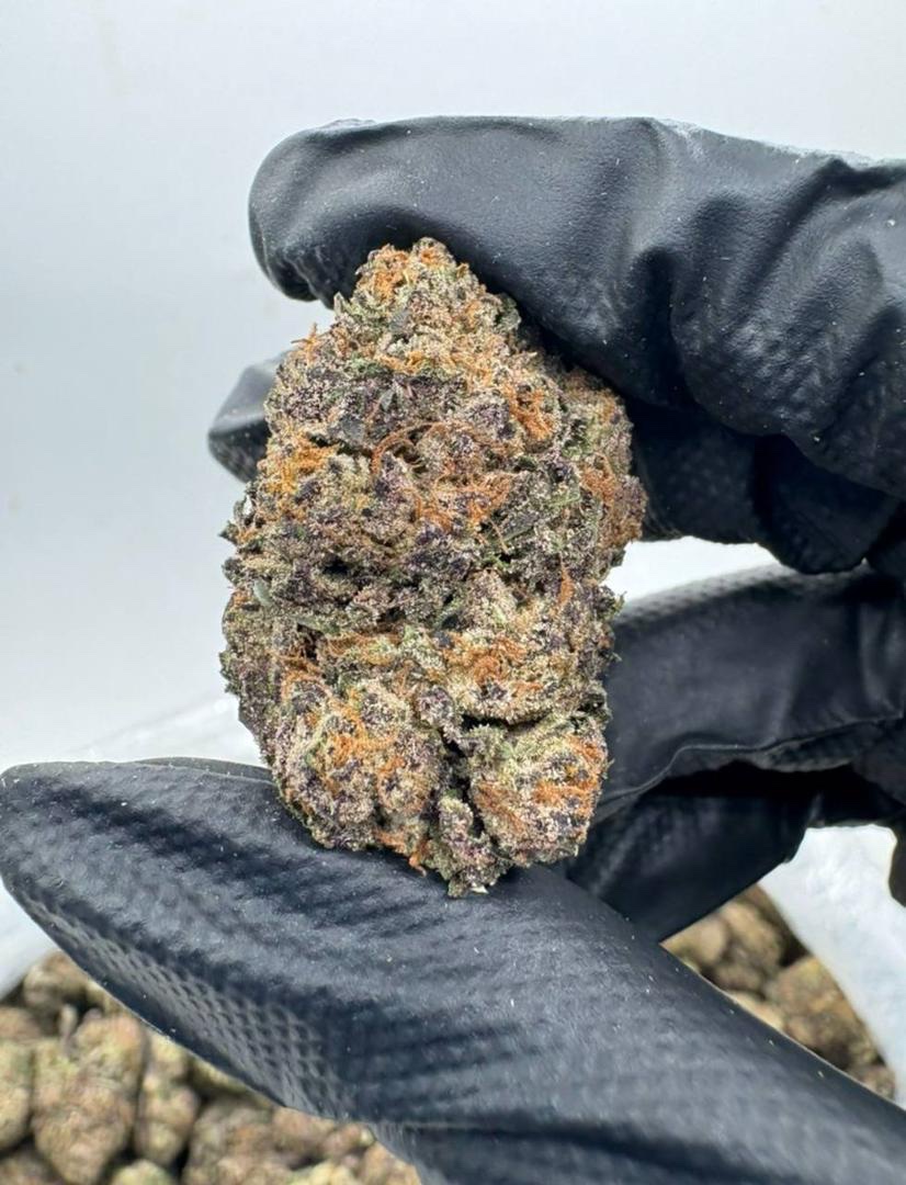 Strange Brew
