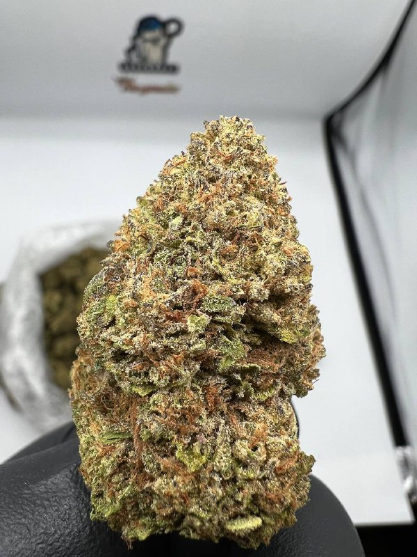 Banana Zstar