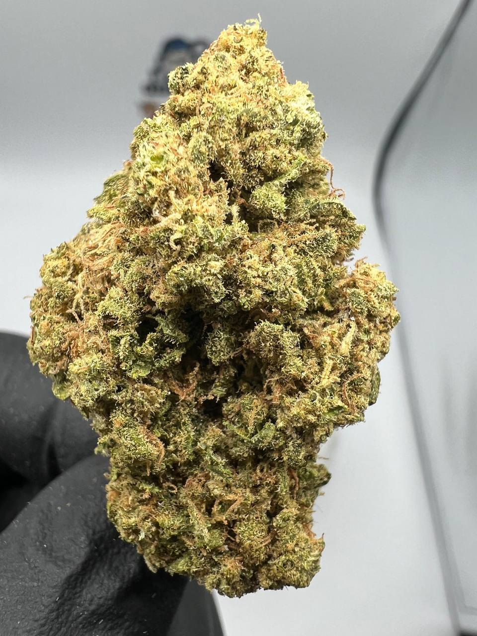 Lemon Kush