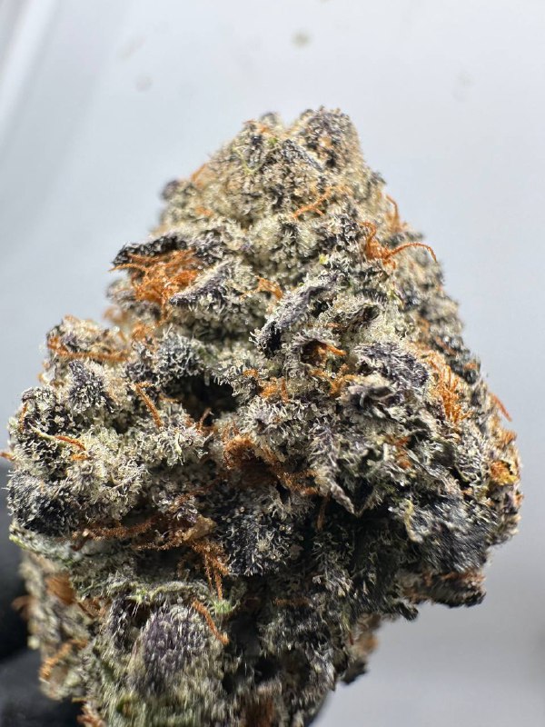 Lil Uzi Purp