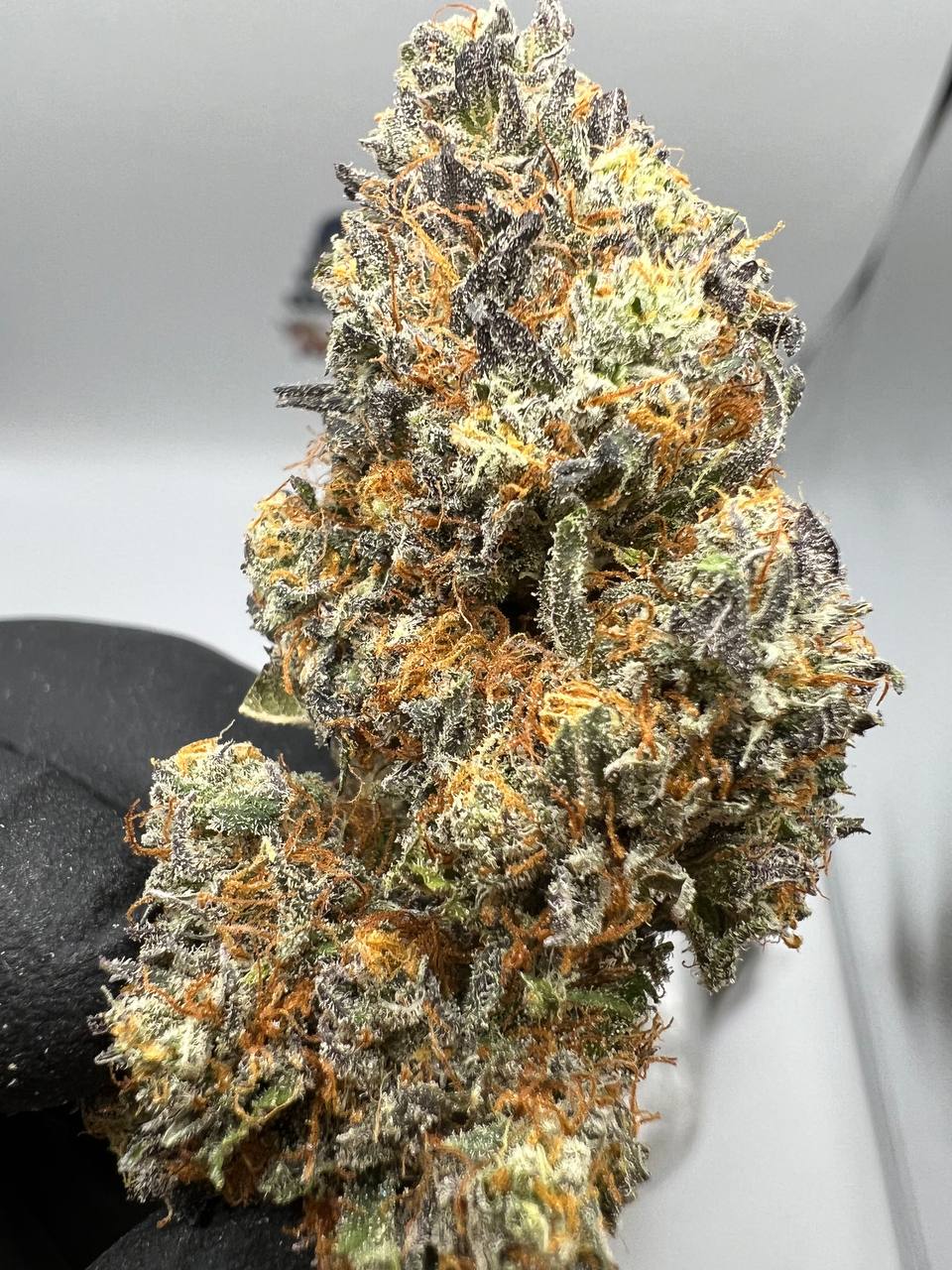 Grape Ape