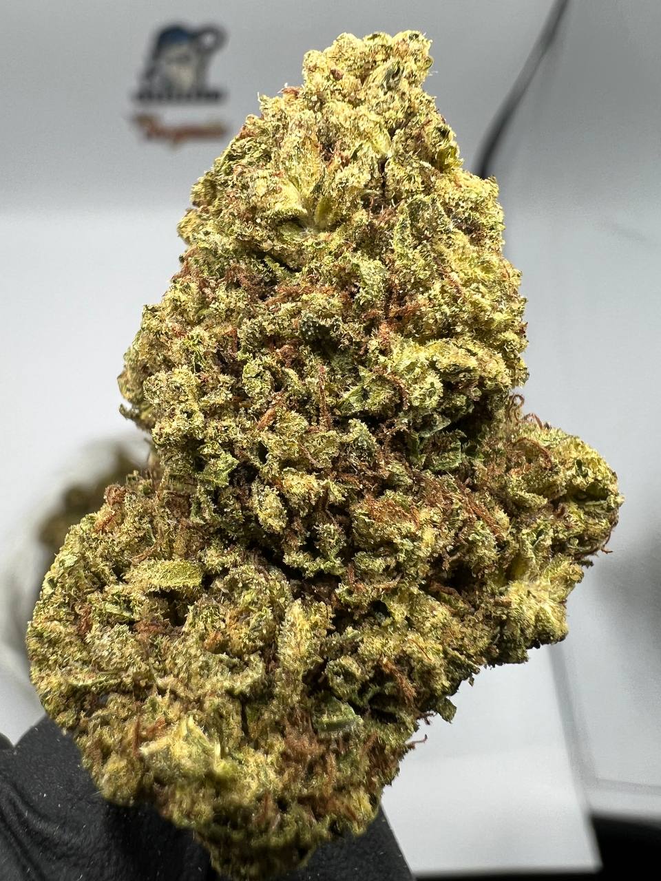 Peanut Butter Breath