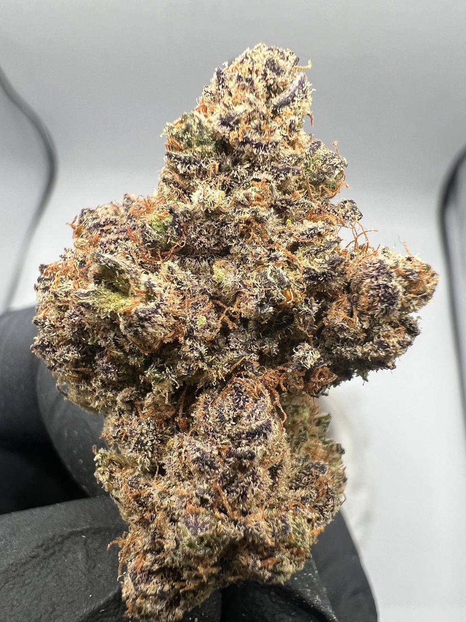 Golden Cookies