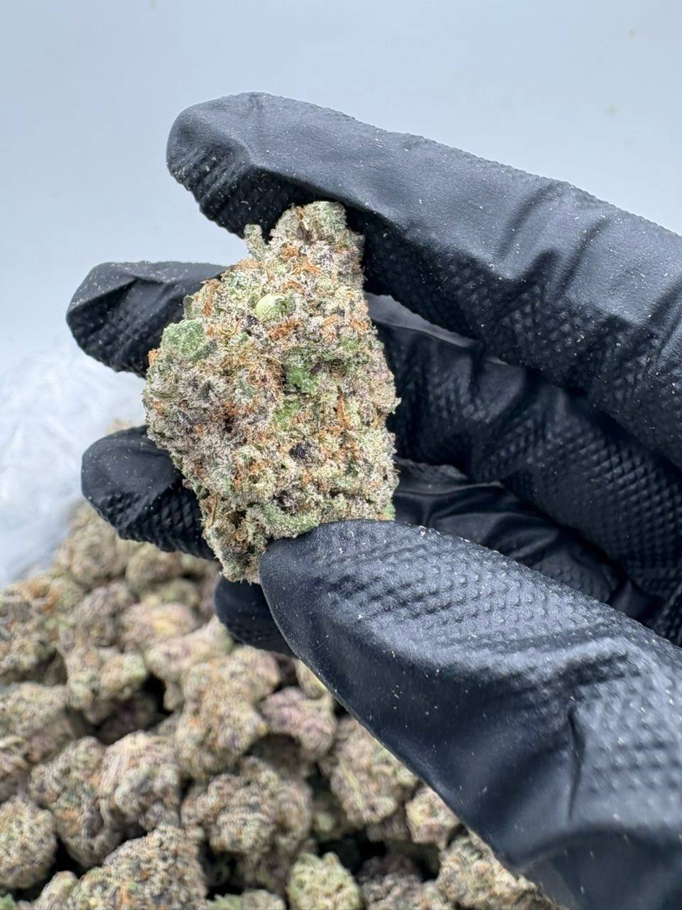 Grape Bubba