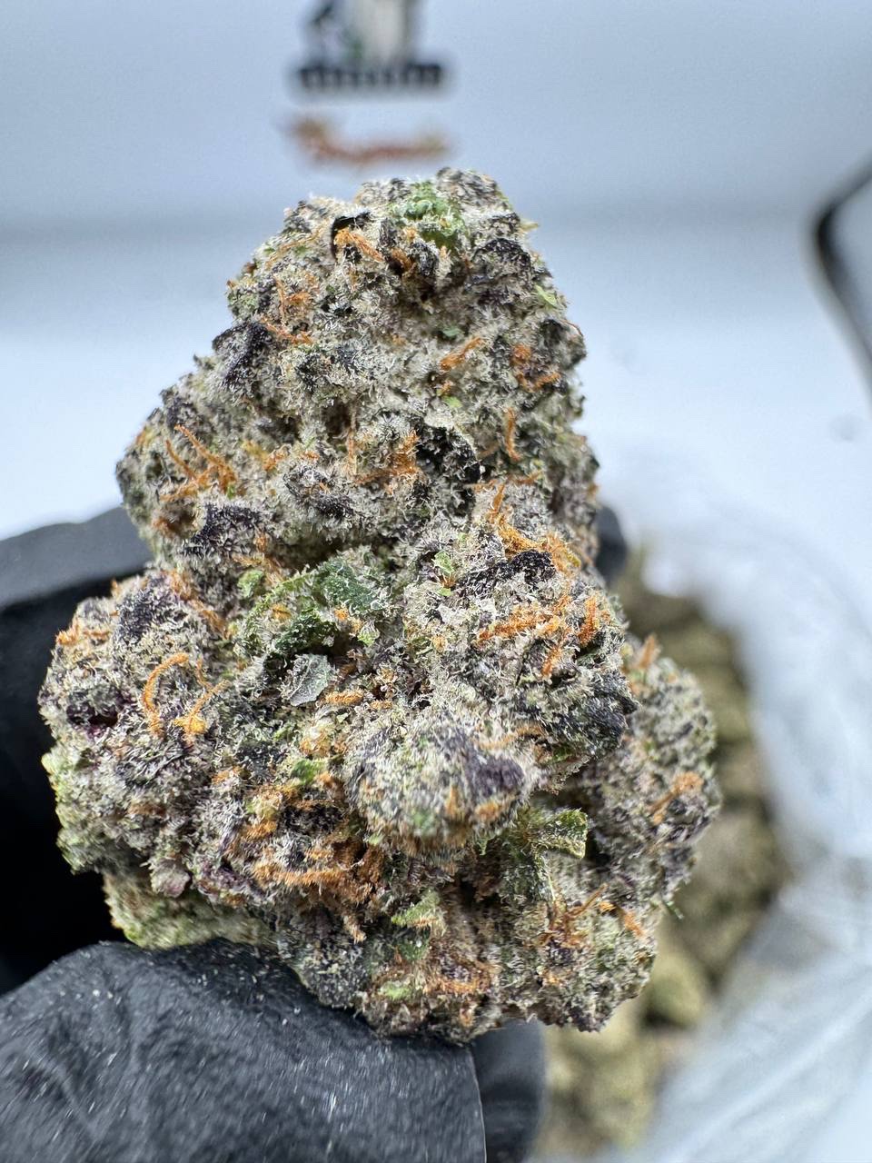 Purple Slut