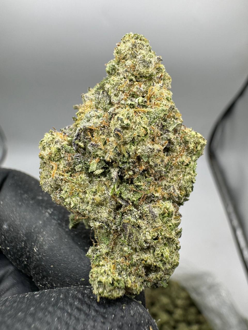 Grape Stomper