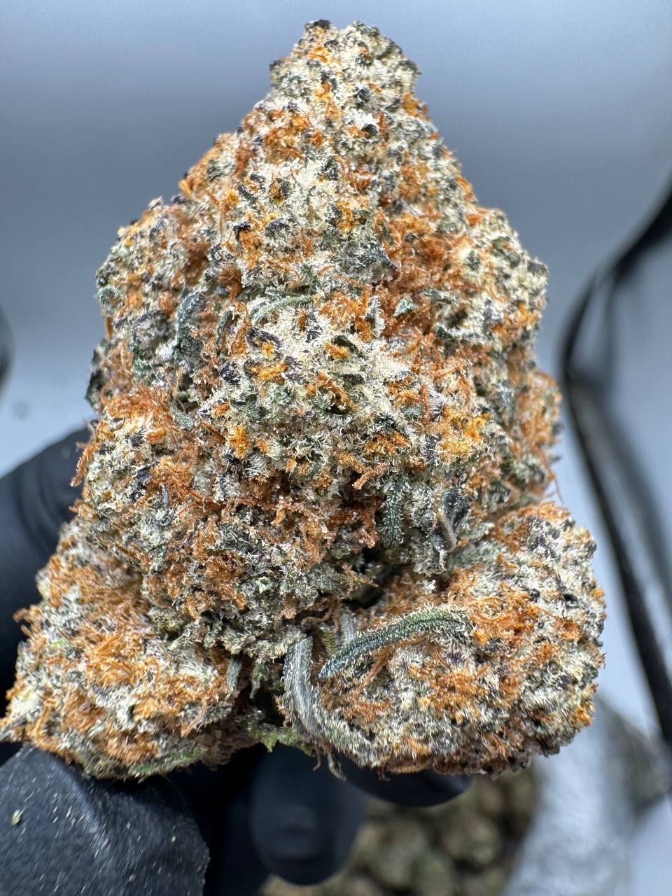 Snow Caps K