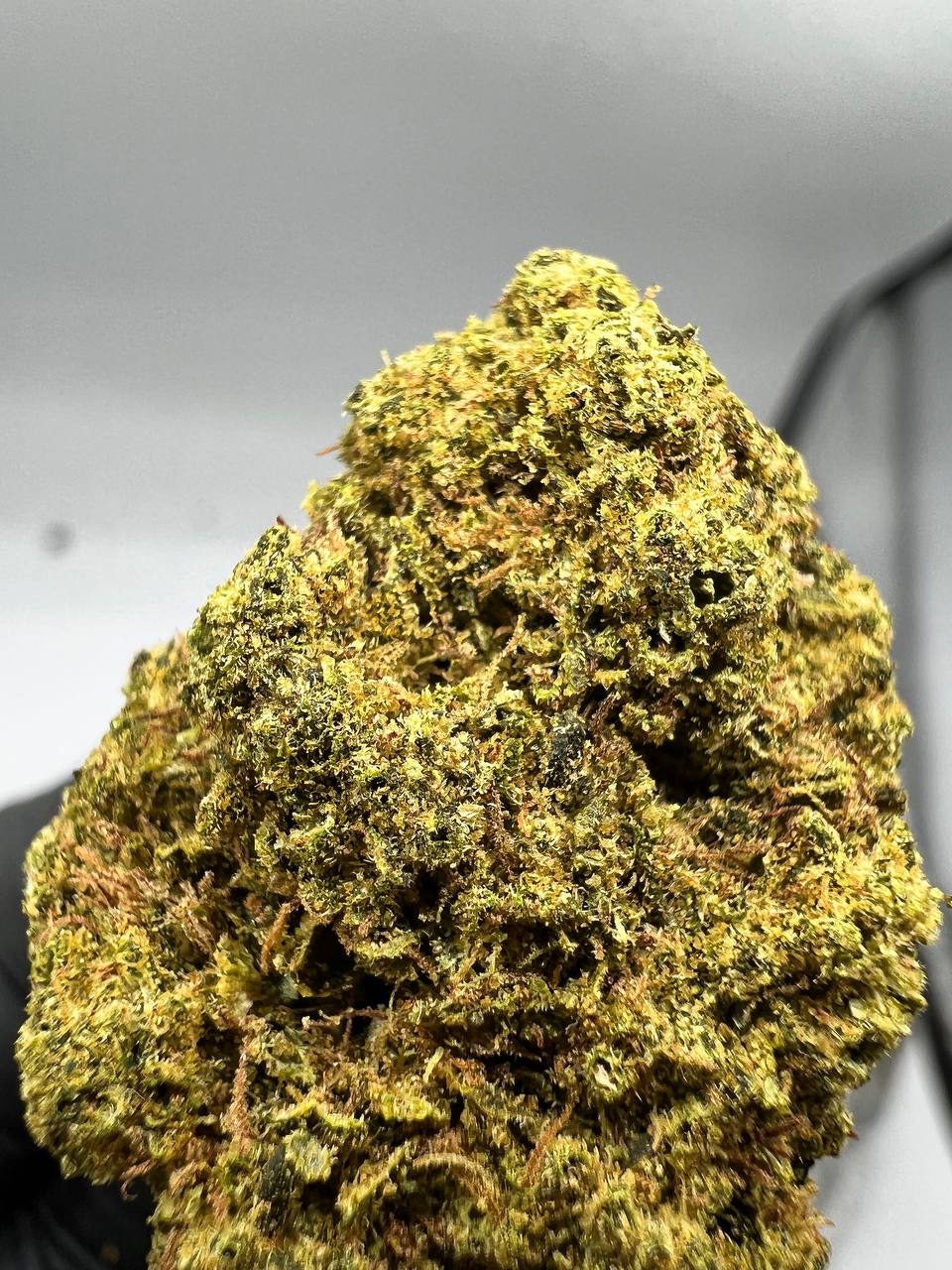 London Skunk