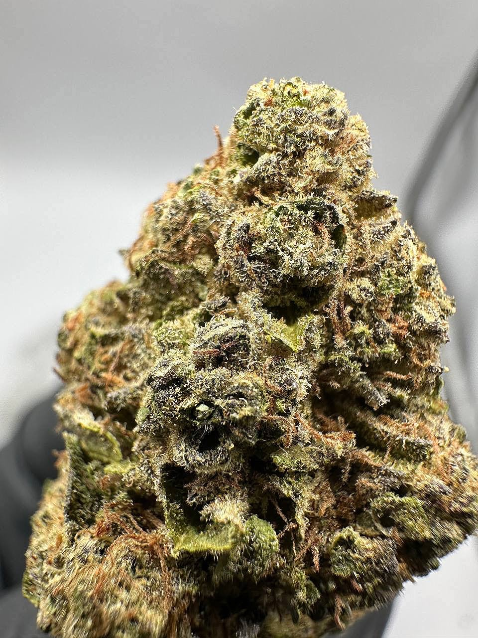 Mendo Breath