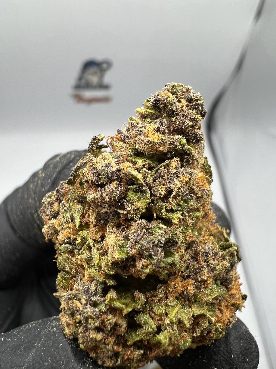 DOUGHBOYZ Purple Train Wreck