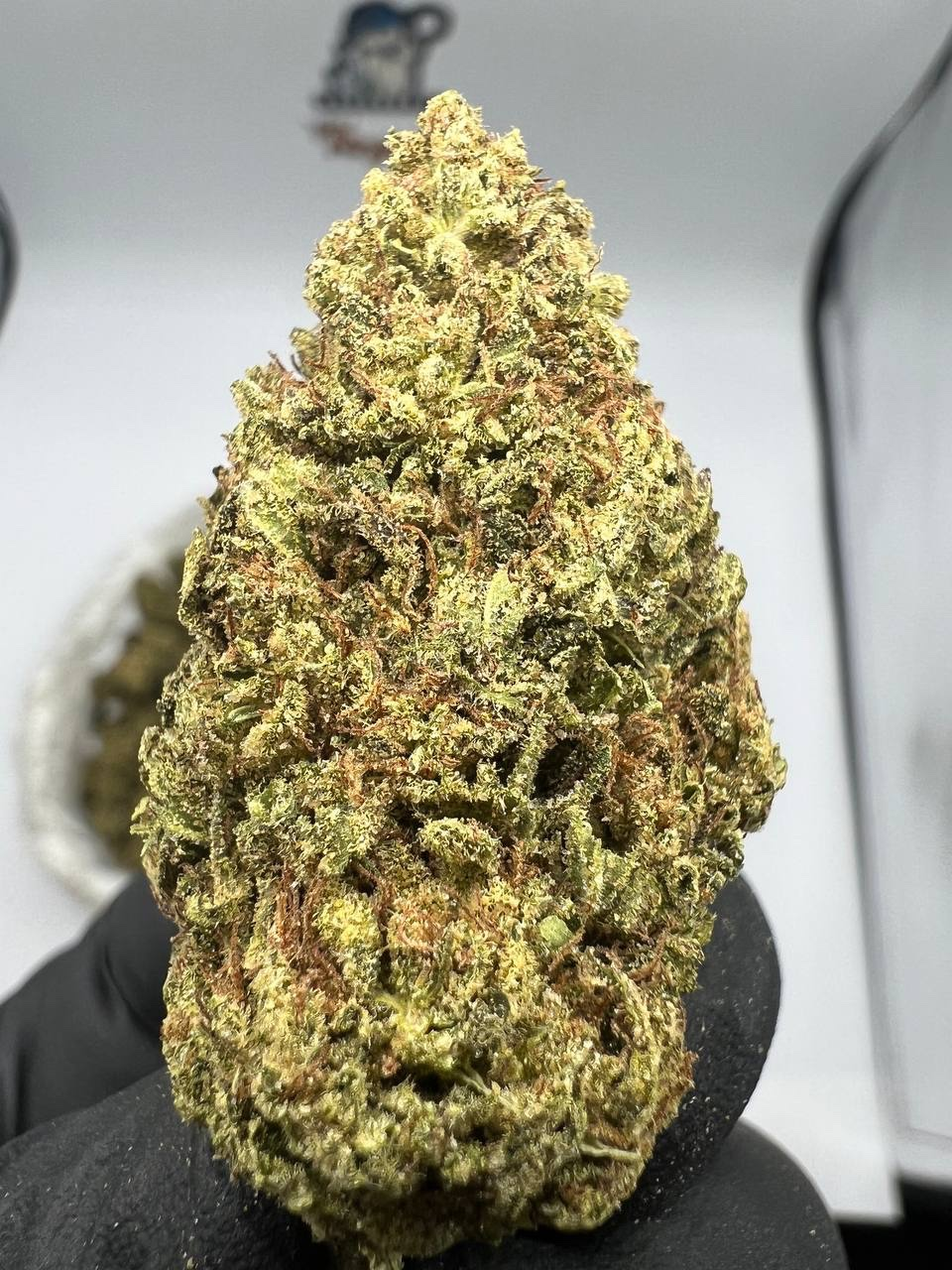 OG Kush