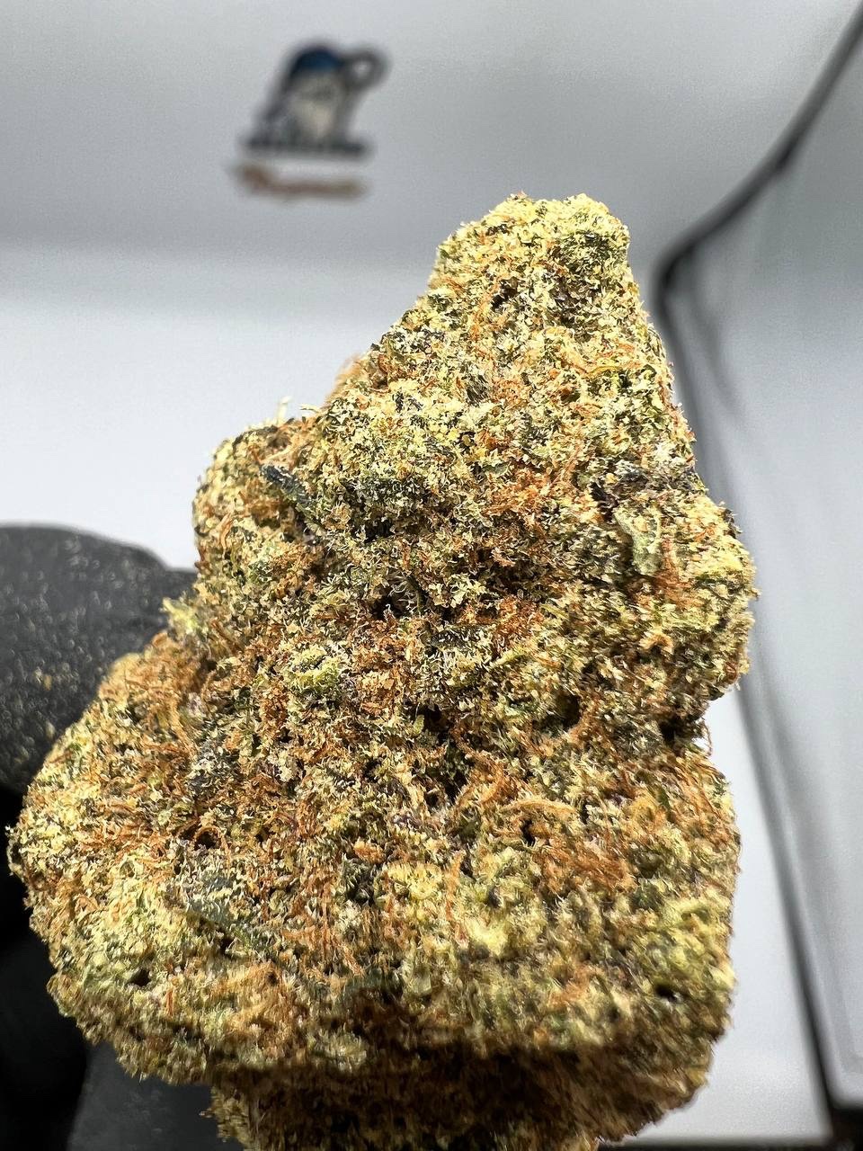Ice Cream Man Strain