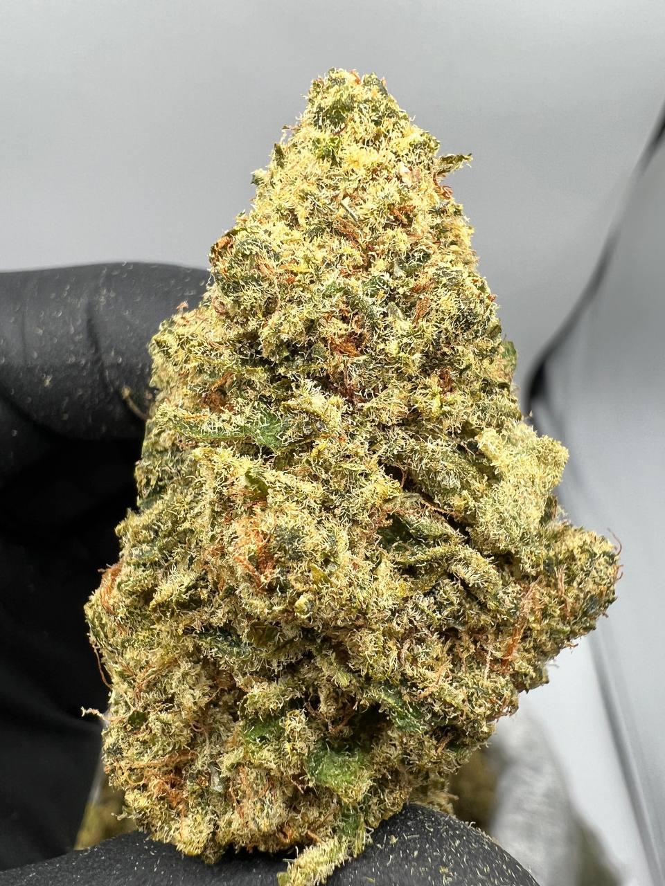 Buy Lavender Skunk