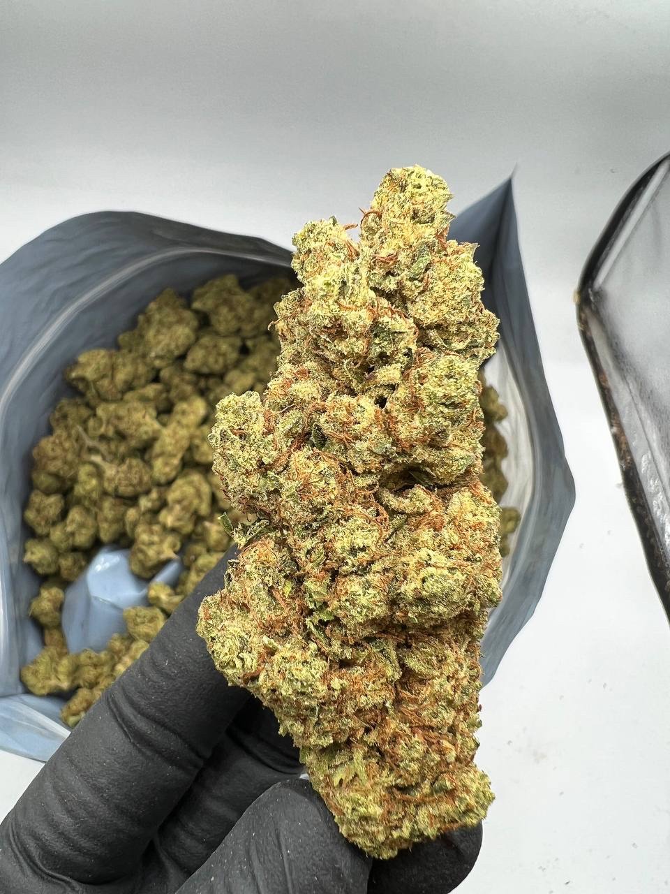 Buy Marshmallow Strain