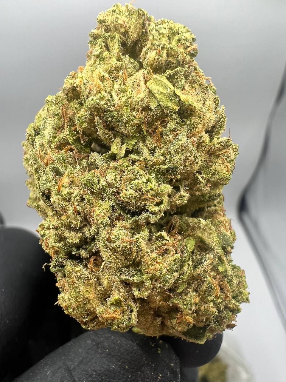 Buy Mango Kush Online