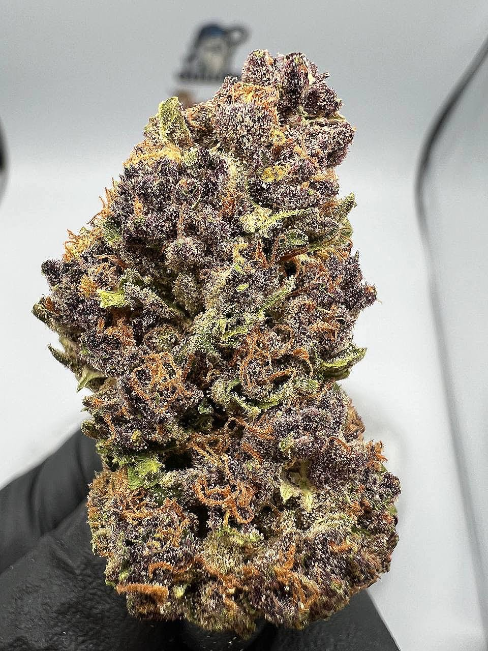 Buy Tahquitz strain