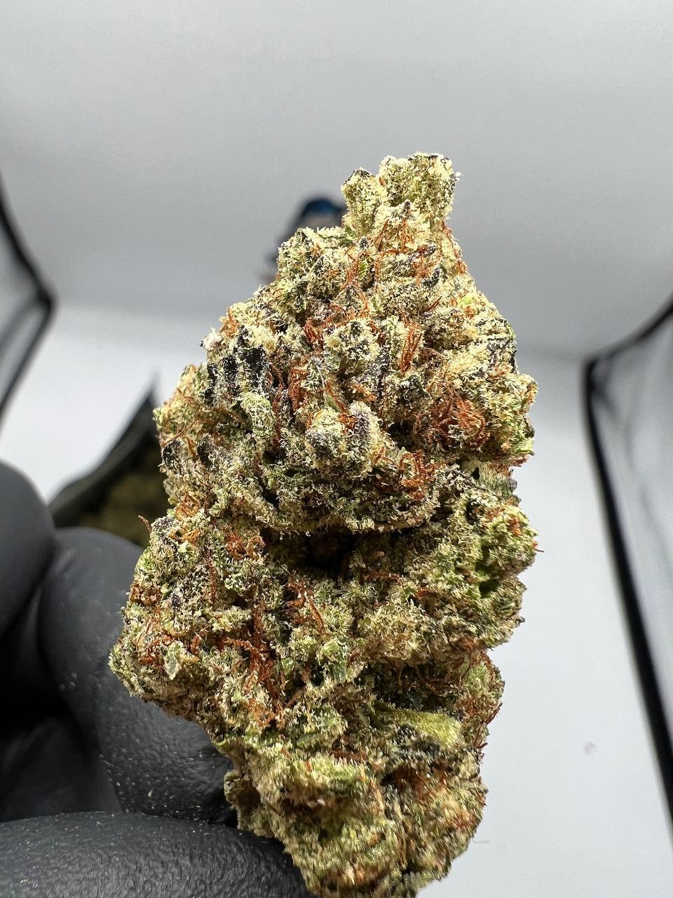 Buy Birthday Cake strain