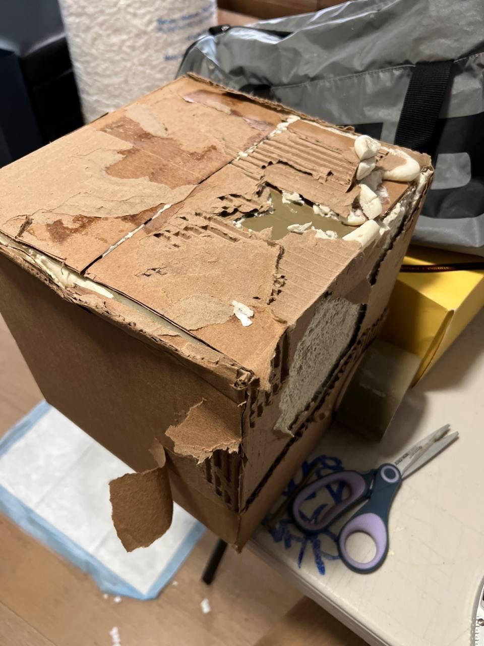 Successful delivery in Newcastle